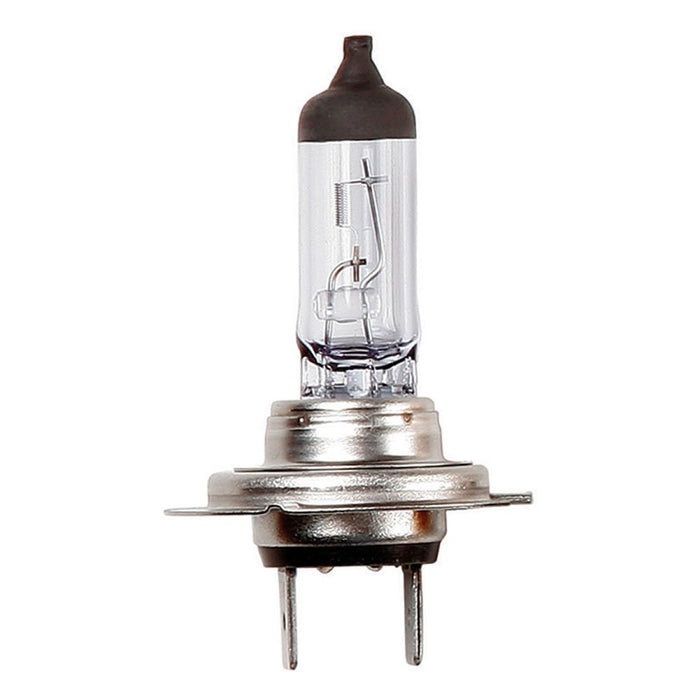 H7 Halogen Bulb