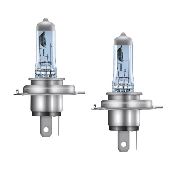 Halogen Bulbs