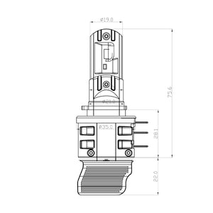 Bulb Dimensions