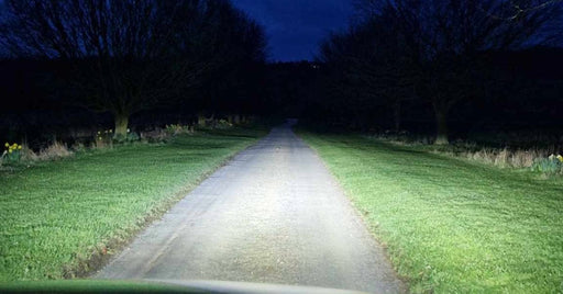 D1S LED Bulbs (Pair)