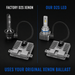 D2S LED Bulbs (Pair)
