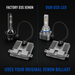 D3S LED Bulbs (Pair)