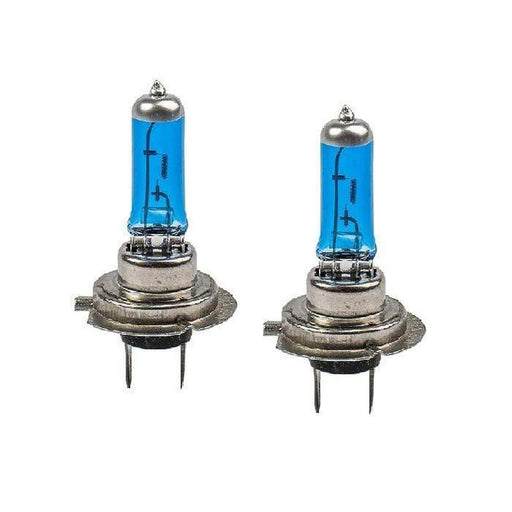 H7 Performance Halogen Bulbs (Pair) - Viewed from the front.